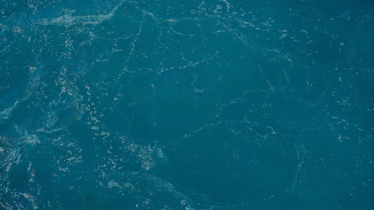 apa in ocean